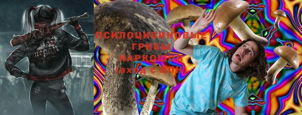 синтетический гашиш Алексин