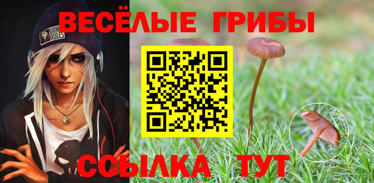 Галлюциногенные грибы Psilocybine cubensis  Вход с VPN  Мичуринск 