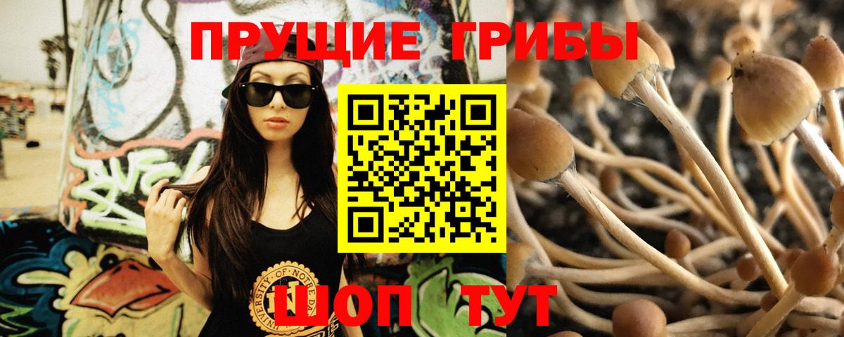 Псилоцибиновые грибы прущие грибы Мичуринск