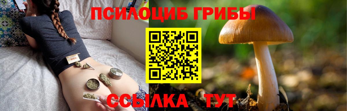 Кокаин  Мичуринск  Экстази  Гашиш  МЕТ  Меф кристаллы  Вход с VPN  Марихуана 